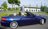 BMW 318i Cabrio - - BMW 318 aus 2010: 318i