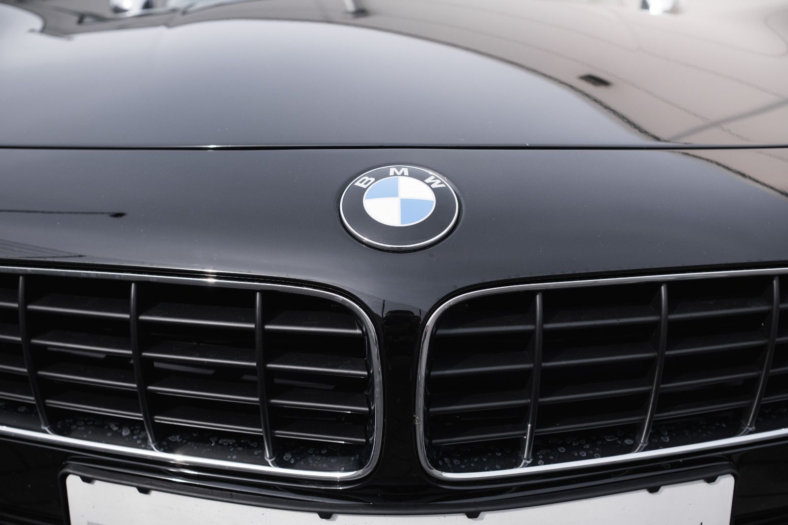 Fahrzeugabbildung BMW Z8 Roadster-Hardtop-unfallfrei-Alpinafelgen