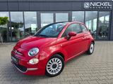 Fiat 500 DolceVita*Pano*Klima*Leder*CarPlay* - Fiat 500: Rot, Leder