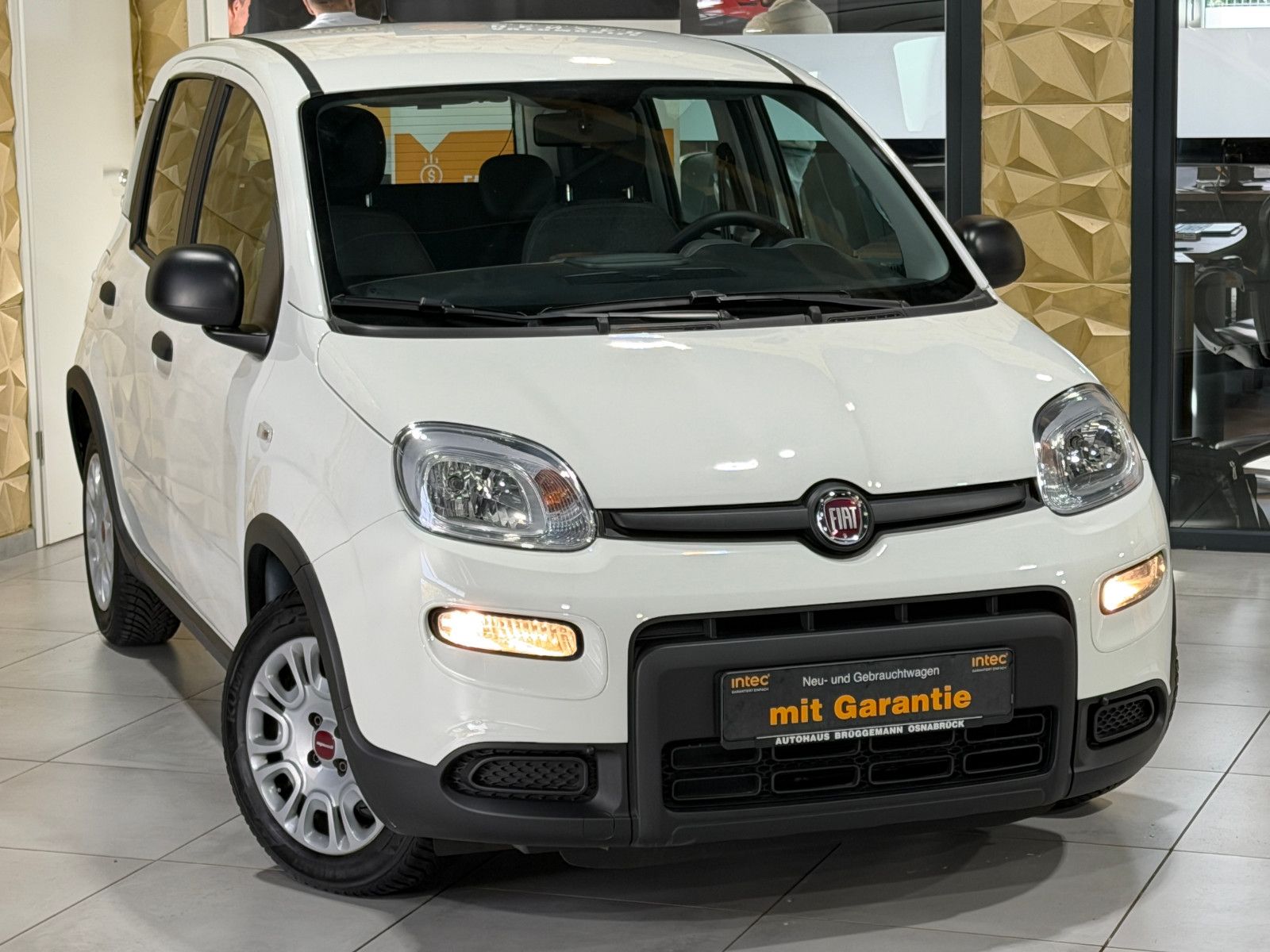 Fahrzeugabbildung Fiat Panda /KLIMA/4-TÜRER/DAB/ALLWETTER/1-HAND