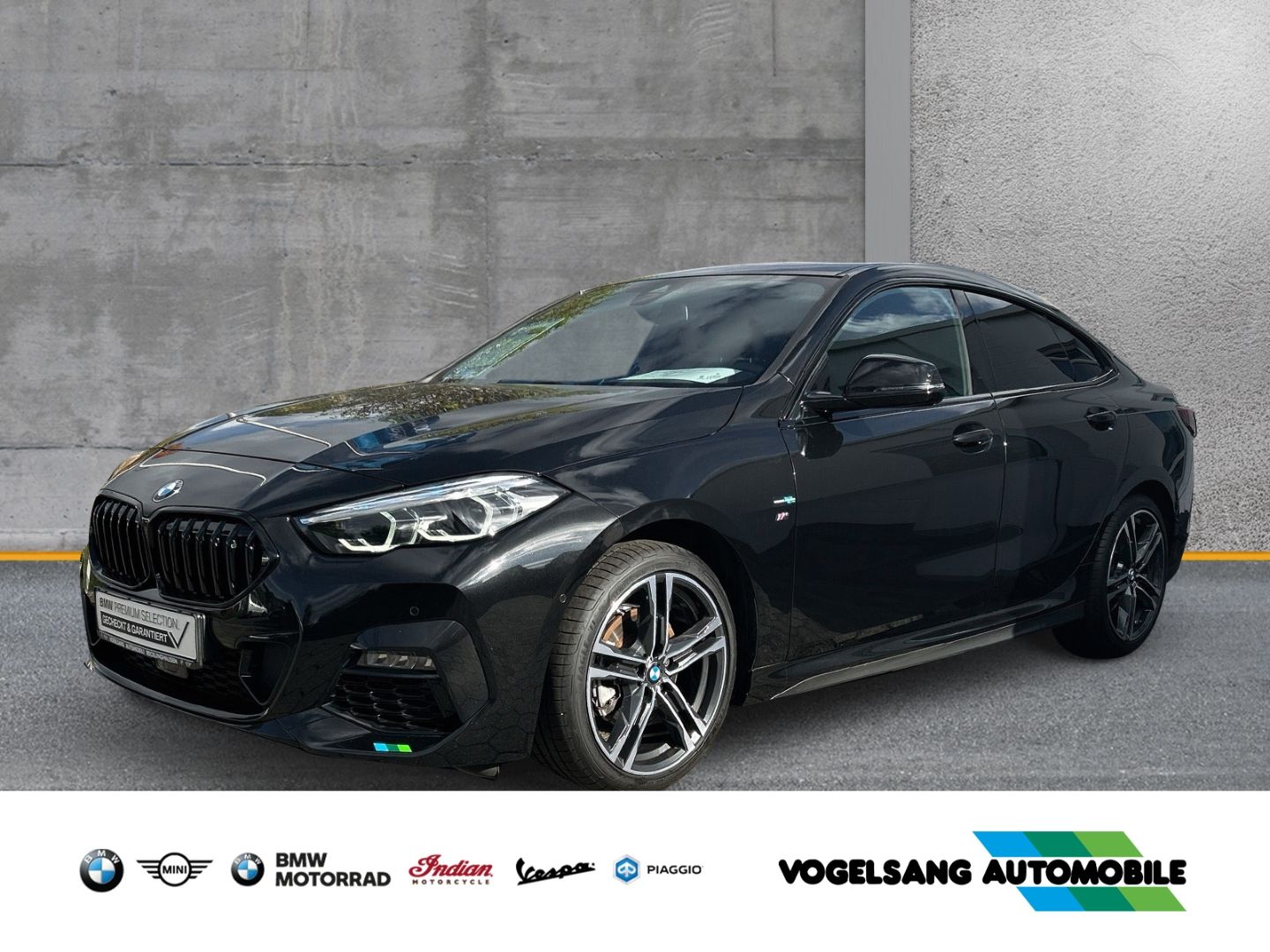 Fahrzeugabbildung BMW 218 Gran Coupe i M Sport Park-Assistent