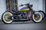 Harley-Davidson Bobber Springer Umbau Custom Softail - HARLEY-DAVIDSON 2004 SOFTAIL