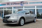 Skoda Octavia Combi Style - mit Benzin-Antrieb: Beige, Teilleder