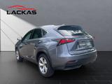 Lexus NX 300 300h+LUXURY+4x4+HUD+MARK.LEVIN.+360CAM+ - Lexus: Nx