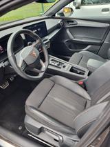 Cupra Leon,PanoDach,1 Vorbes.,Scheckheftgepfl.,300PS - Cupra Leon in Frankfurt (Main)
