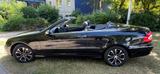 Mercedes-Benz CLK 240 ELEGANCE Cabrio  - Mercedes-Benz CLK 240: Cabrio