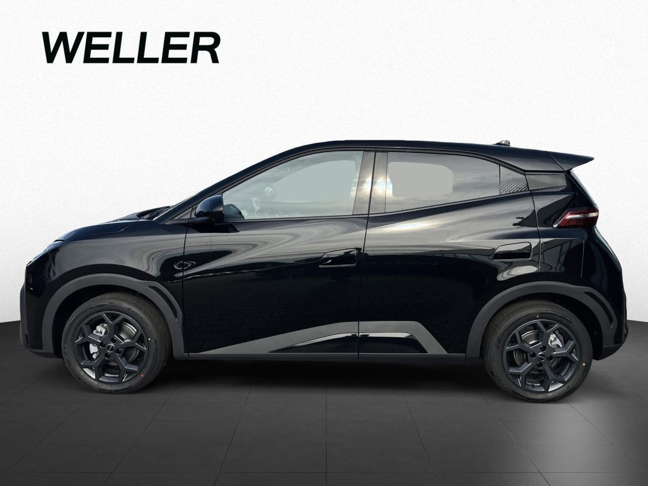 BYD DOLPHIN SURF