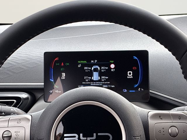 BYD Dolphin Surf Active+Kam+ACC+Leder+PDC+Navi+DAB+K