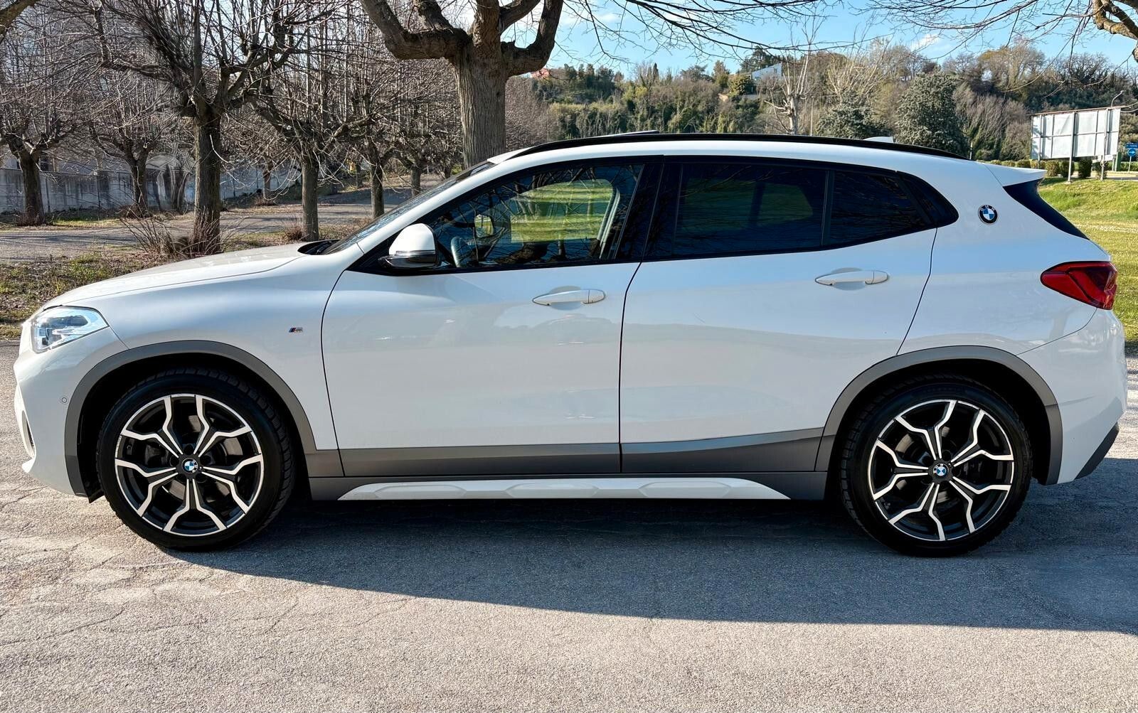 BMW Bmw X2 xDrive20d Msport