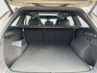 Skoda Kodiaq - Vorschau Bild 19