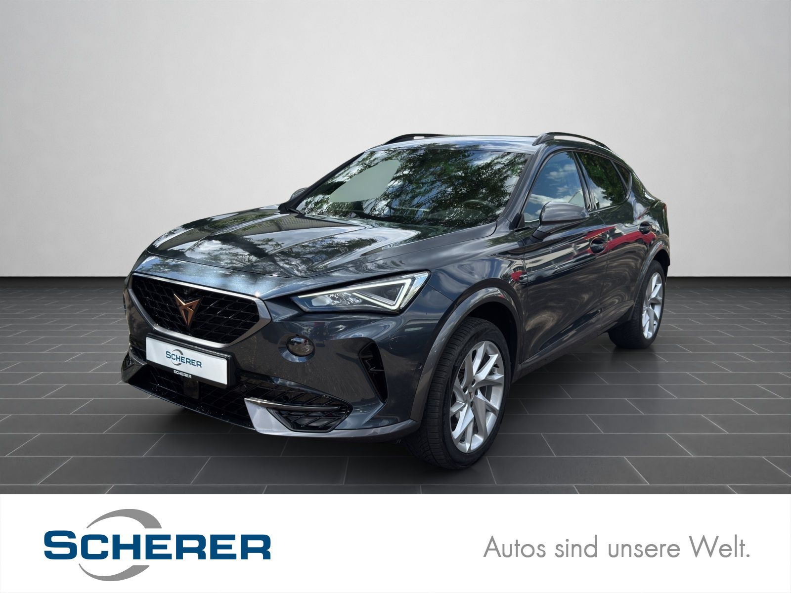 Cupra Formentor 1.5 TSI DSG LED FULL LINK KAMERA ACC