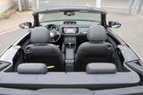 Volkswagen Beetle Cabriolet Sport Leder 1. Hand PDC - Volkswagen Beetle: Sport