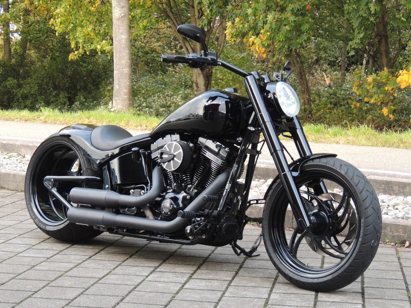 Harley-Davidson FLSS Softail Slim 300 Ricks