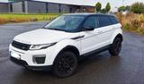 Land Rover Range Rover Evoque 2.0 TD4 110kW Pure Pure - Land Rover Range Rover Evoque in Solingen