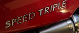 Triumph Speed Triple 1050 SE 515NJ letztes Modelljahr - TRIUMPH 2010 SPEED TRIPLE