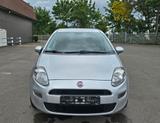 Fiat Punto 1.4 8V mit neuem TÜV - Fiat Punto: 4.8