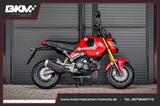 Honda MSX125 Grom +1.Hand+Scheckheft+ - HONDA MSX 125