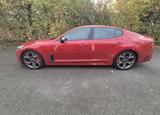 Kia Stinger 3.3 T-GDI AWD GT GT  Bastucks - Kia Stinger Benzin Gebrauchtwagen