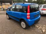 Fiat Panda 1.3 Euro 4  4X4 - Fiat Panda mit Diesel-Antrieb: Allradantrieb, 1.3