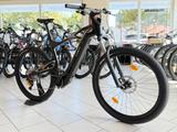 Bianchi E-Vertic X Type * Bosch Perf. Größe XL