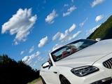 BMW 650i xDrive Cabrio - BMW Individual - Vollleder - BMW: Cabrio, Bmw6