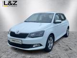 Skoda Fabia 1.2 TSI Style Green tec - Skoda Fabia Gebrauchtwagen in Lübeck