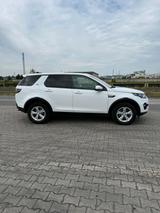 Andere Land Rover Discovery mit 2 Jahre TÜV - Andere in Essen