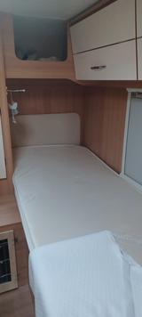 Ahorn Canada TE plus - Ahorn Canada