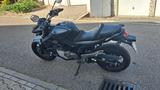 Suzuki SFV Gladius 650A - SUZUKI GLADIUS SFV 650