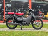 Honda C125 Super Cub  - HONDA MOTORRAD