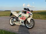 Honda CBR600RR - HONDA 2006 CBR 600 RR