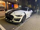Ford Mustang 2.3 EcoBoost Shelby - Ford Mustang in Ludwigshafen