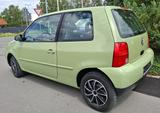 Volkswagen Lupo 1.0 Oxford    *HU/AU-NEU! - Volkswagen Lupo: Grün