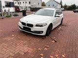 BMW F 11 luxury 5-er - BMW: 5er F11