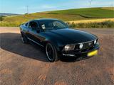 Ford Mustang GT V8 - gebrauchte Ford Mustang aus dem Jahr 2007