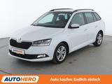 Skoda Fabia 1.0 TSI Ambition*NAVI*ACC*CAM*PDC*SHZ* - Skoda Fabia Gebrauchtwagen in Köln
