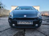 Fiat Grande Punto MORE,8 f, ber.,PDC,TÜV/AU 02/2028 ! - Fiat Punto Grande Gebrauchtwagen