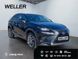 Lexus NX 300h E-FOUR Executive Line *LED*ACC*Leder*CAM - Lexus aus 2019
