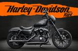 Harley-Davidson XL883N - Iron 883 Falcon Auspuff- Progressive Su - HARLEY-DAVIDSON IRON 883