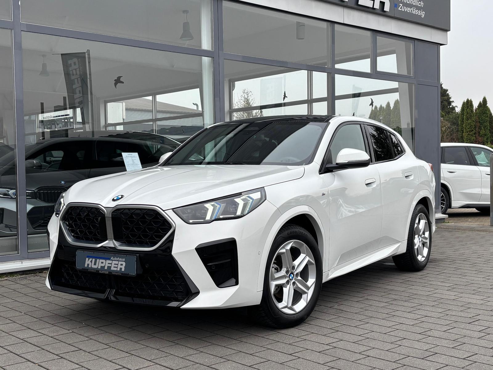 BMW X2 xDrive20d M Sport AHK*Panoramadach °HIFI Harm