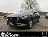 Mazda CX-30 SKYACTIV-G 2.0 M Hybrid - Mazda CX-30 Gebrauchtwagen