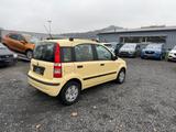 Fiat Panda 1.2 8V Dynamic/TÜV NEU - gebrauchte Fiat Panda aus dem Jahr 2006