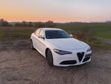 Alfa Romeo Giulia 2.2 Diesel 16V 132 kW Super Super - Alfa Romeo Giulia von privat