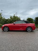 BMW M240i Steptronic Cabrio - - BMW M240i aus 2019