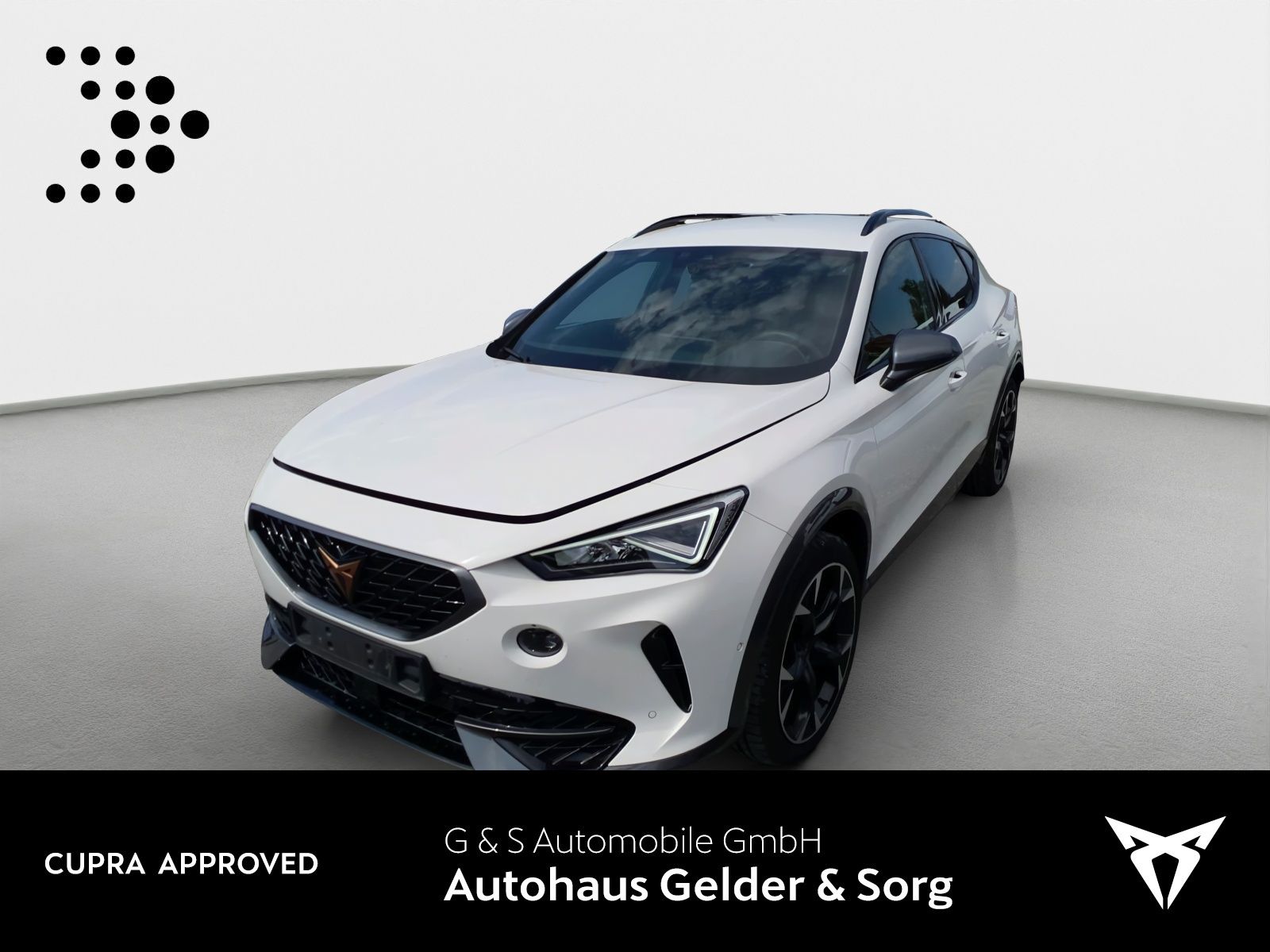 Cupra Formentor VZ 2.0 TSI RFK*LED*Navigation