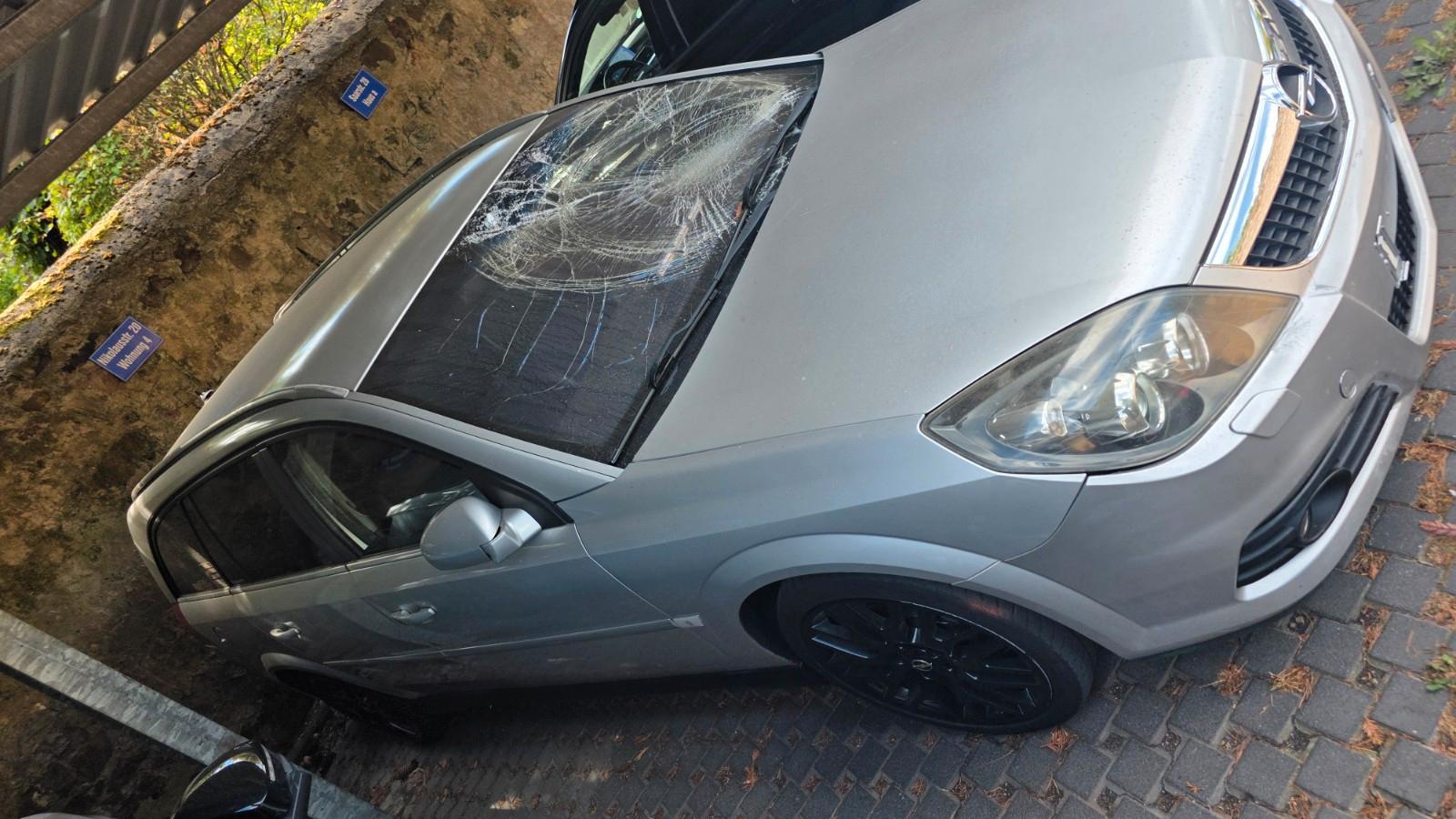 Opel Vectra 2006 — photo 6