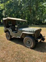 Jeep Willys - Jeep Willys Gebrauchtwagen