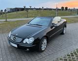 Mercedes-Benz CLK 200 Cabrio Klima Leder Automatik HU 03/2028 - Mercedes-Benz CLK 200 in Düsseldorf
