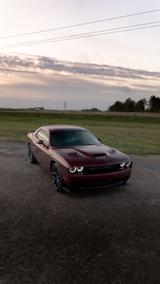 Dodge Challenger - Dodge Challenger aus 2021