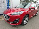 Ford Kuga Vignale PHEV 1. Hdn. 52 TKM B&O - Ford Kuga Vignale mit Hybrid-Antrieb (Benzin/Elektro)